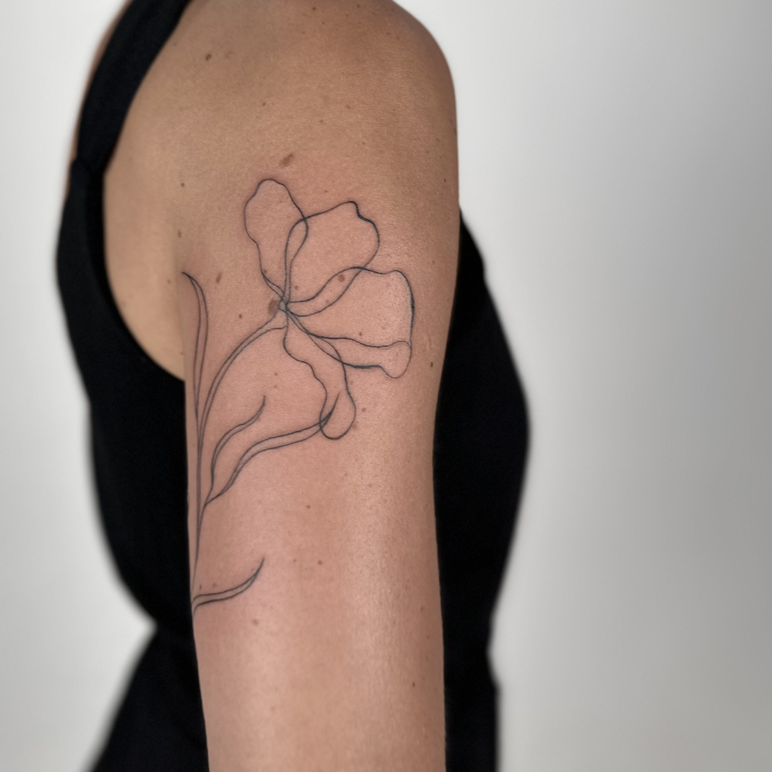 leonie square 6